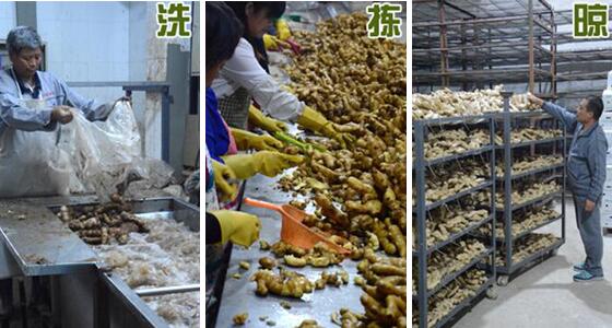 不用硫磺如何清洗生姜？